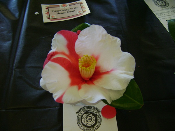 a-DSC03259.JPG
