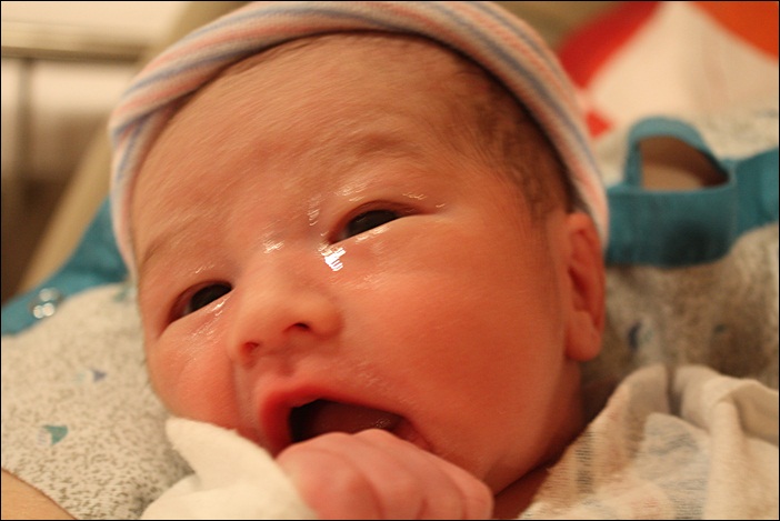 a-baby choi.JPG