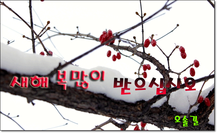 _2013.1.3.gif