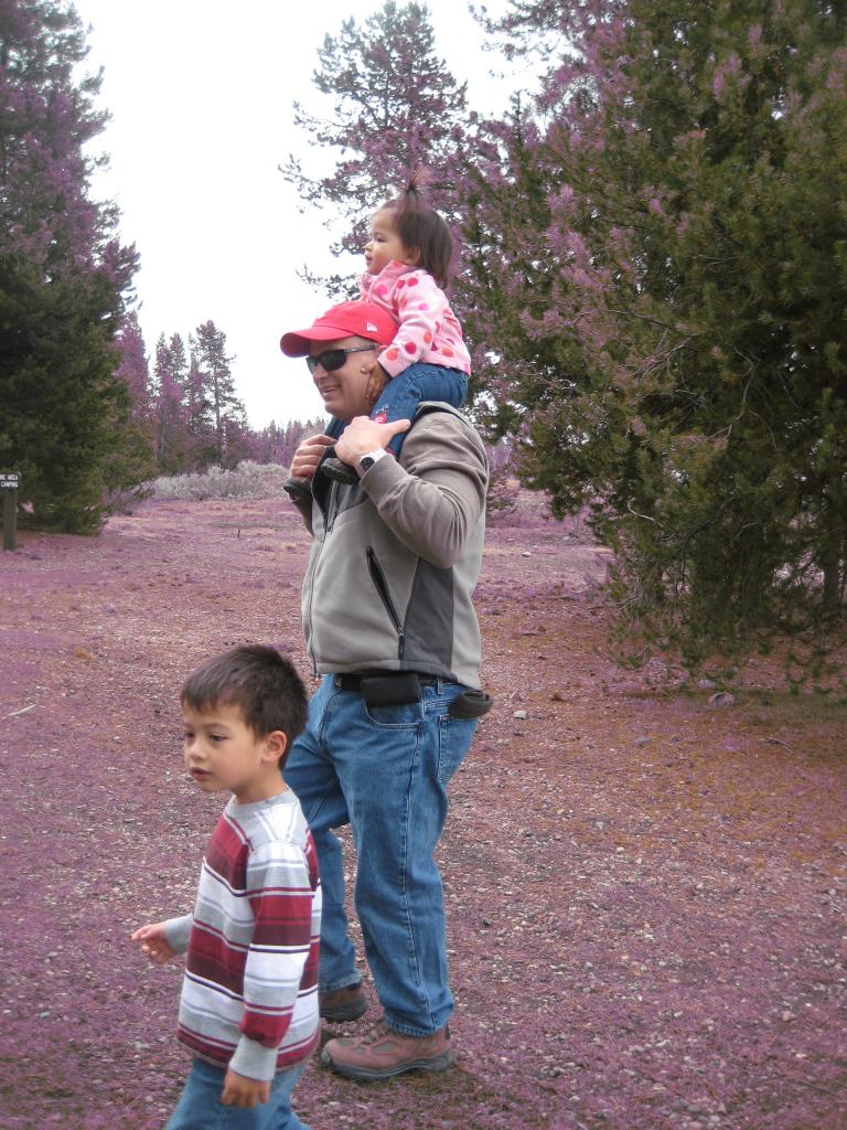 Yellowstone 902.JPG