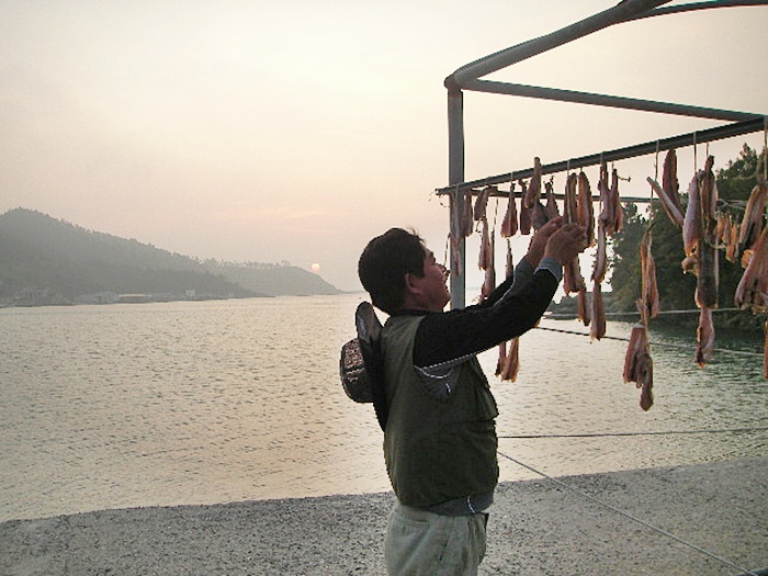 SANY0381.jpg