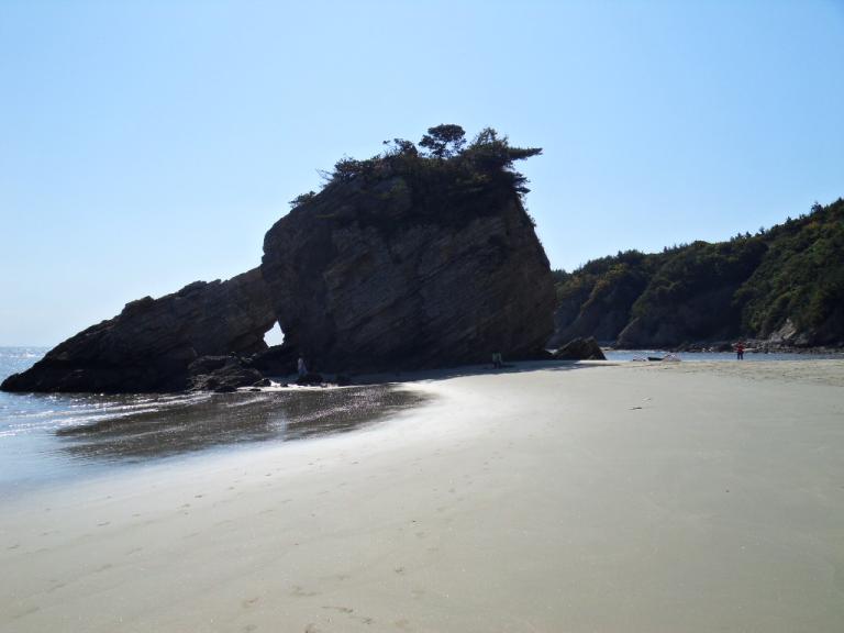 SDC10693.JPG