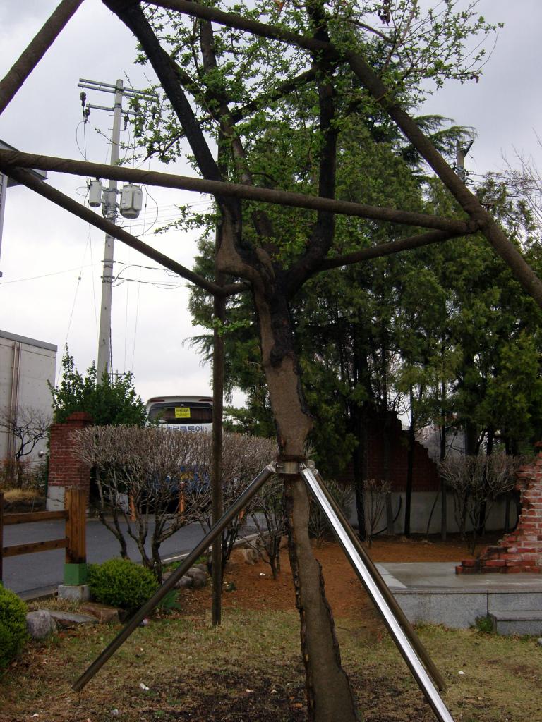 SNC11687.JPG