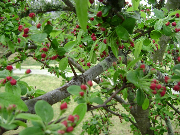 d-DSC03123.JPG