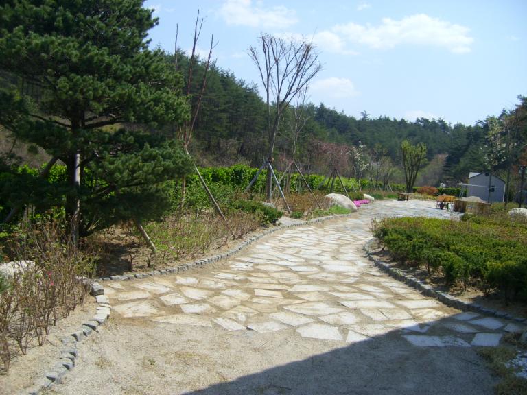 STP61465.JPG