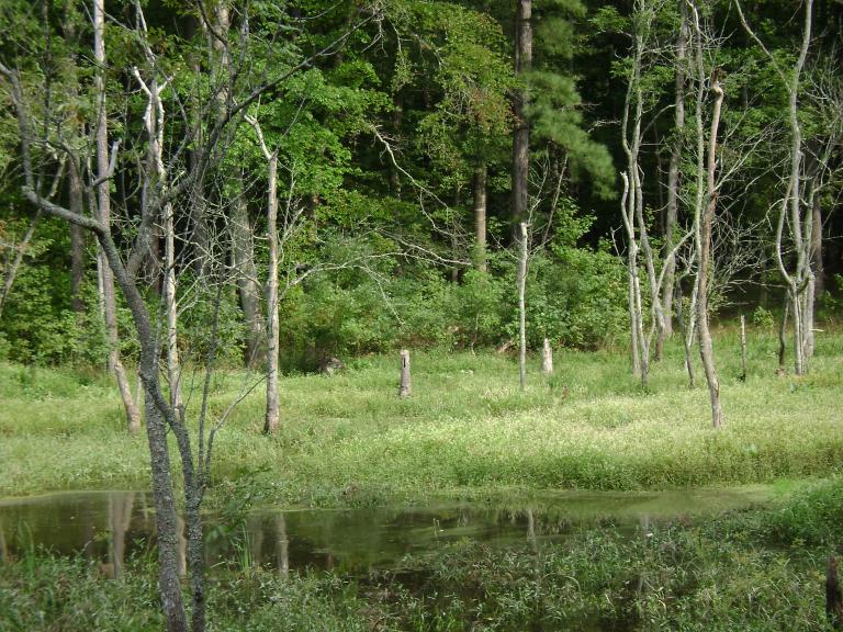 DSC01427.JPG