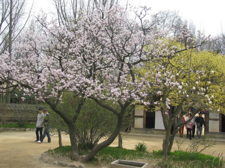 용인 민속촌 044.jpg