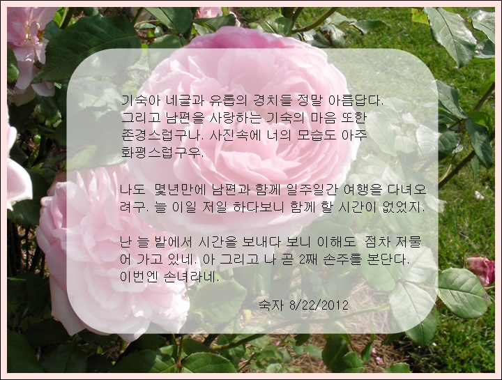 a-SANY0317.JPG
