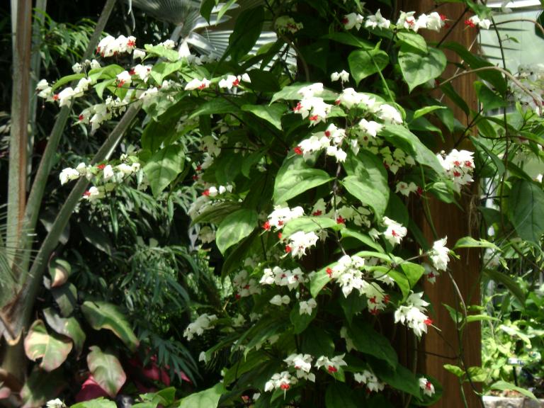 DSC00769.JPG