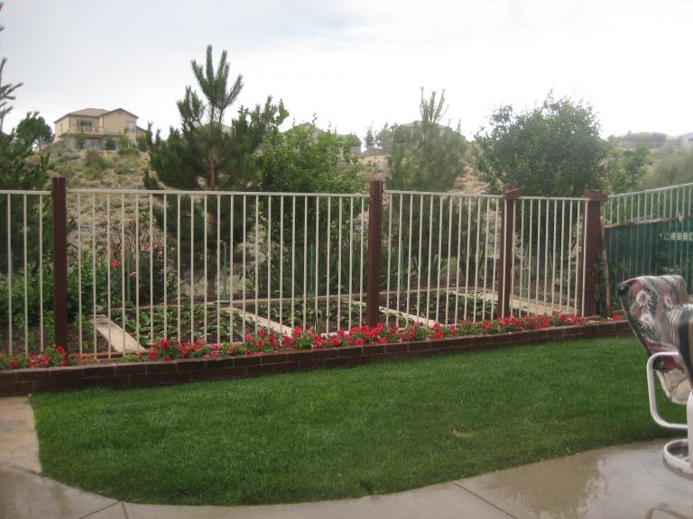 Windy Yard 004.JPG
