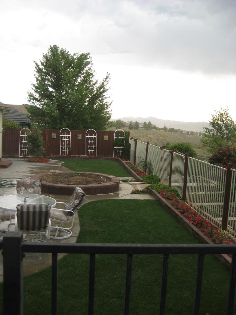 Windy Yard 008.JPG