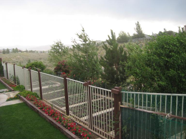 Windy Yard 010.JPG