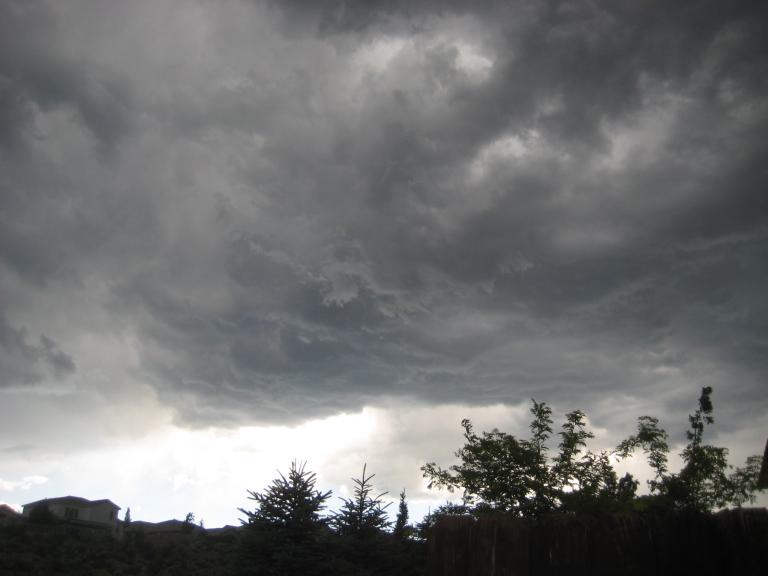 Windy Yard 011.JPG