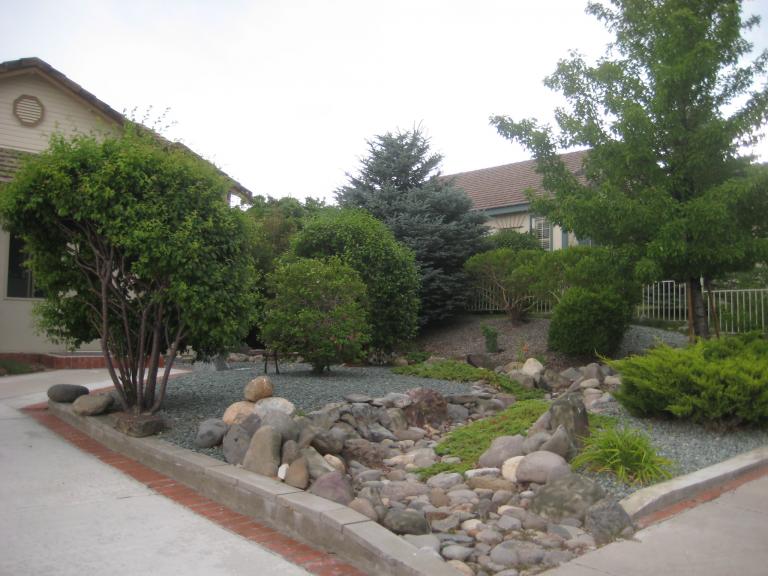 Windy Yard 017.JPG