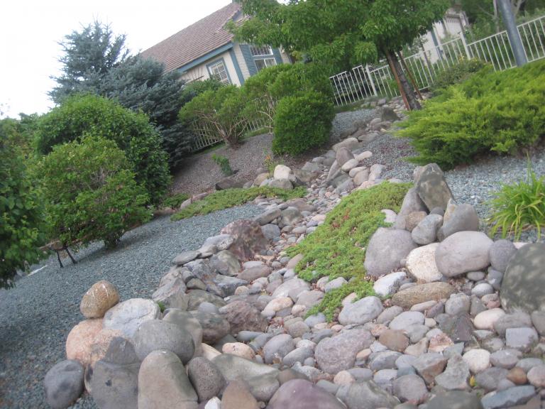 Windy Yard 019.JPG