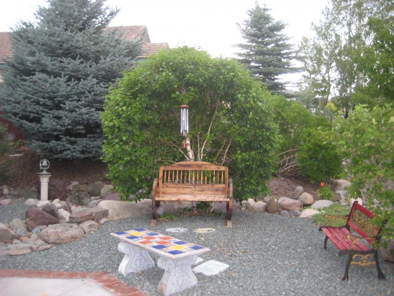 Windy Yard 023.JPG