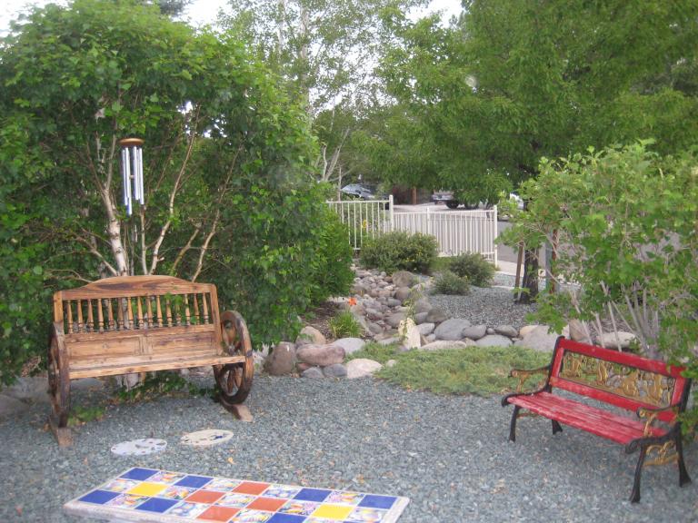 Windy Yard 031.JPG