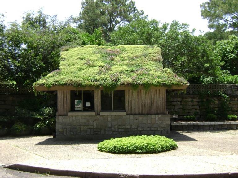 c-DSC00868.JPG