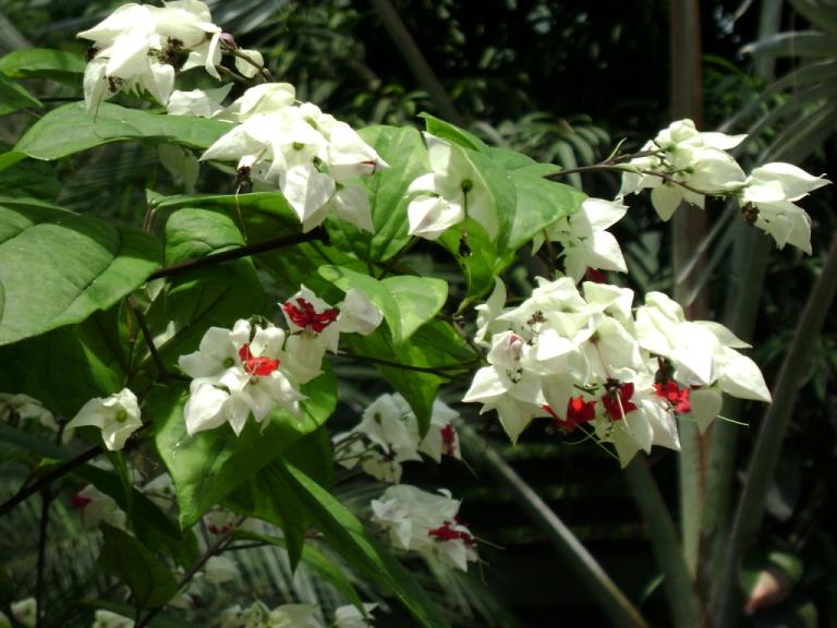 DSC00792.JPG
