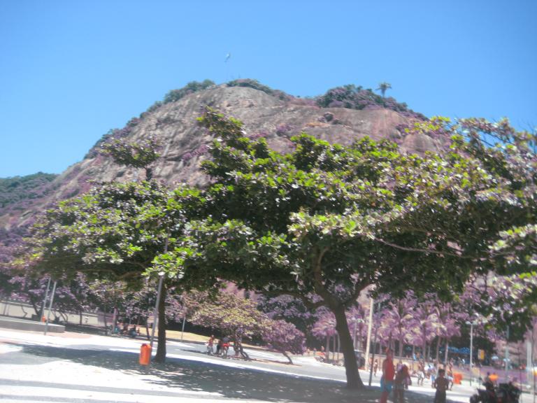South America Brazil 285.JPG