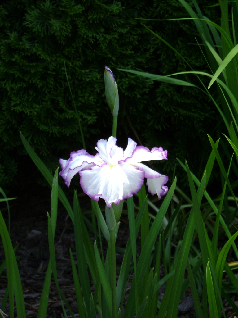 c-DSC00840.JPG