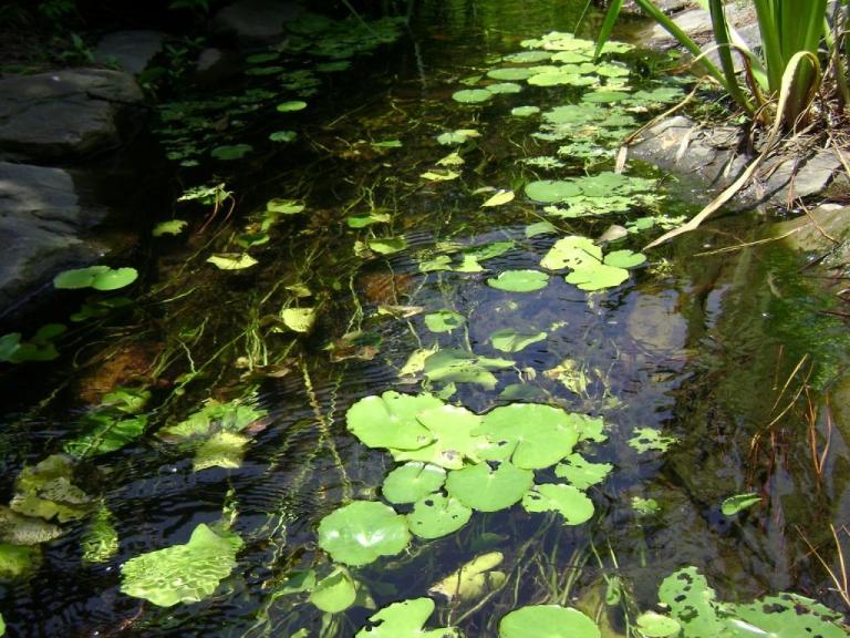 c-DSC00873.JPG