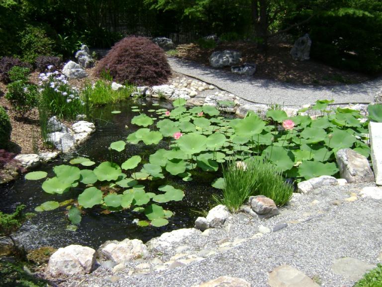c-DSC00882.JPG
