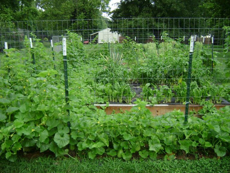 DSC07331.JPG
