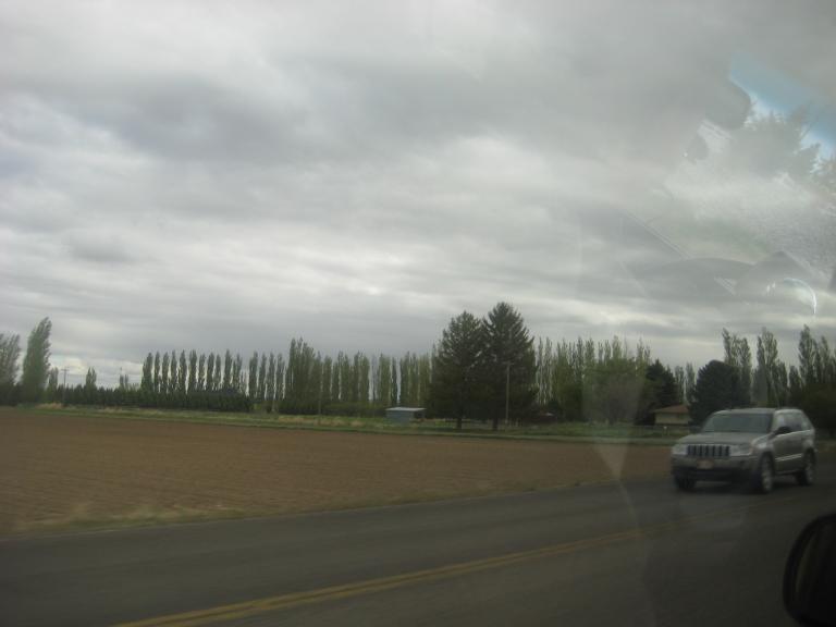 Yellowstone 146.JPG