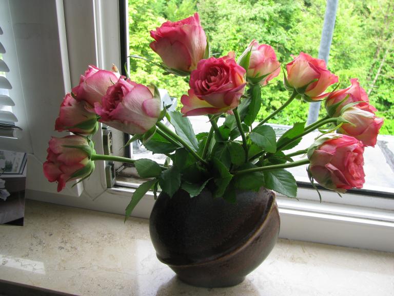 2009 10월 상주 농촌 체험 551.jpg
