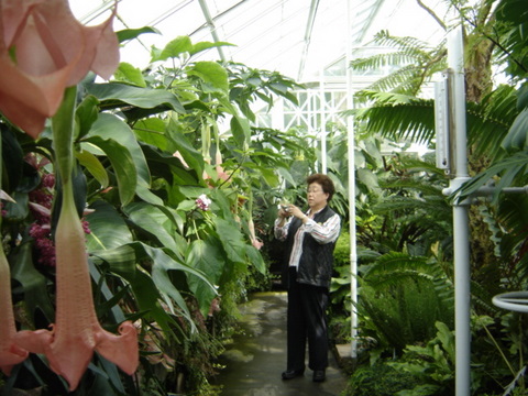 DSC04747.JPG