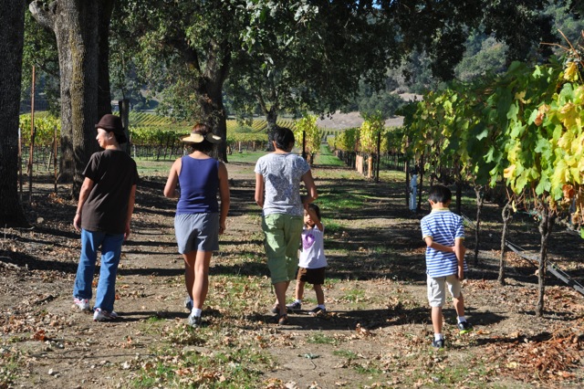 Napa5.jpg