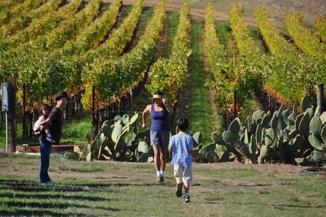 Napa6.jpg