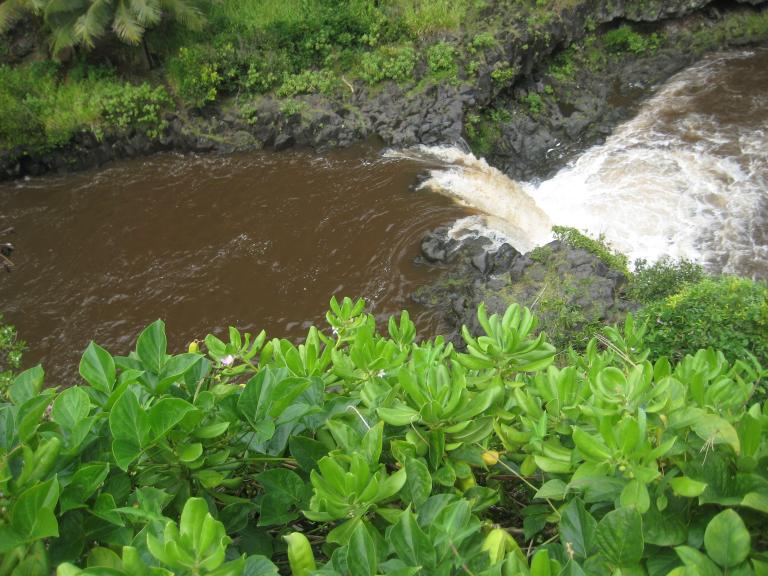 Hawaii 355.JPG