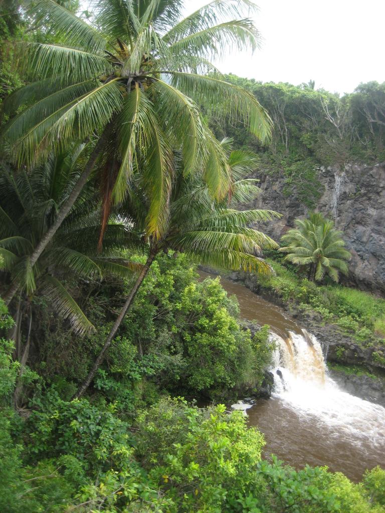 Hawaii 361.JPG