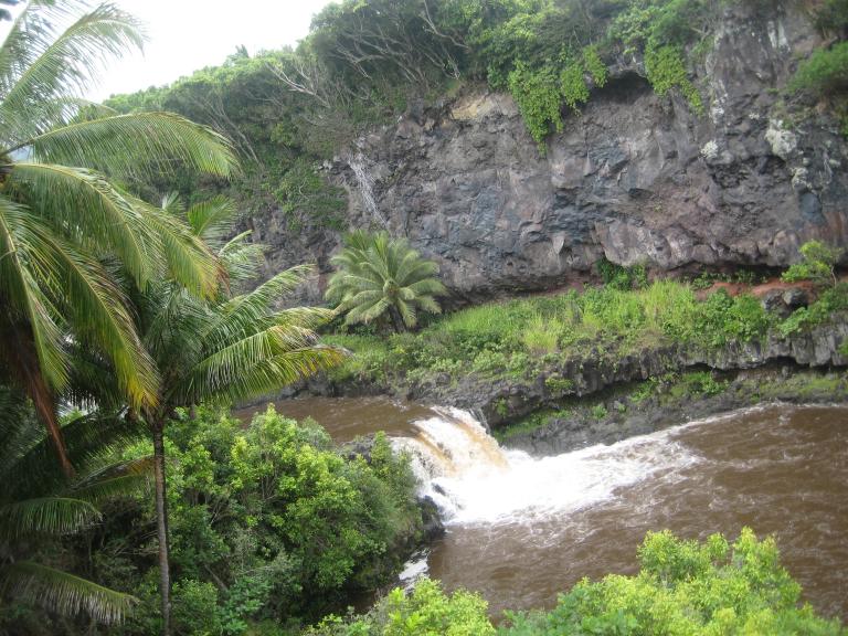 Hawaii 362.JPG