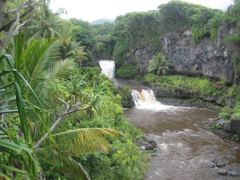 Hawaii 367.JPG
