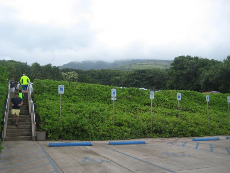 Hawaii 375.JPG