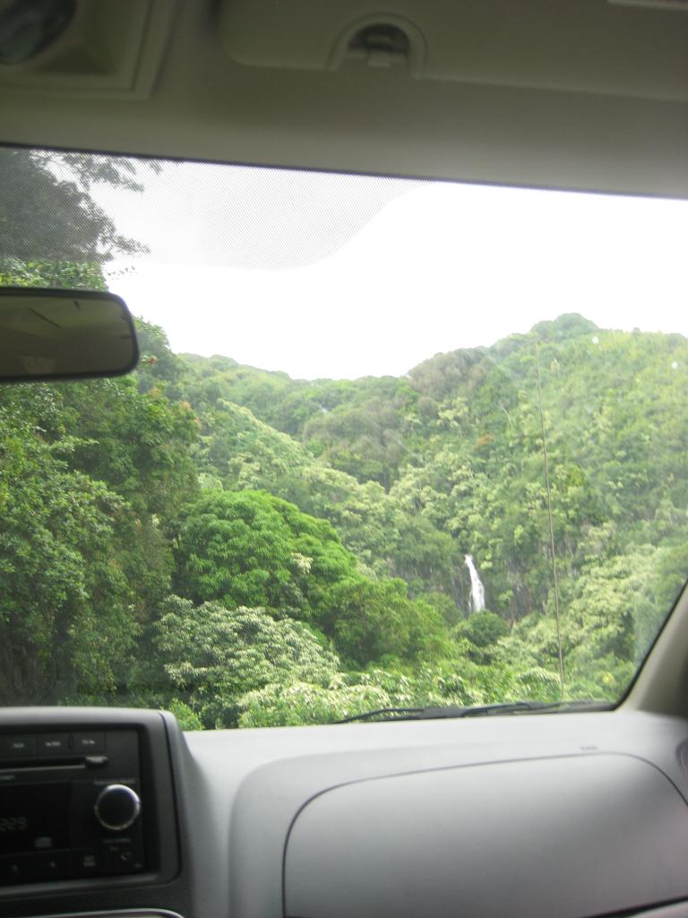 Hawaii 379.JPG