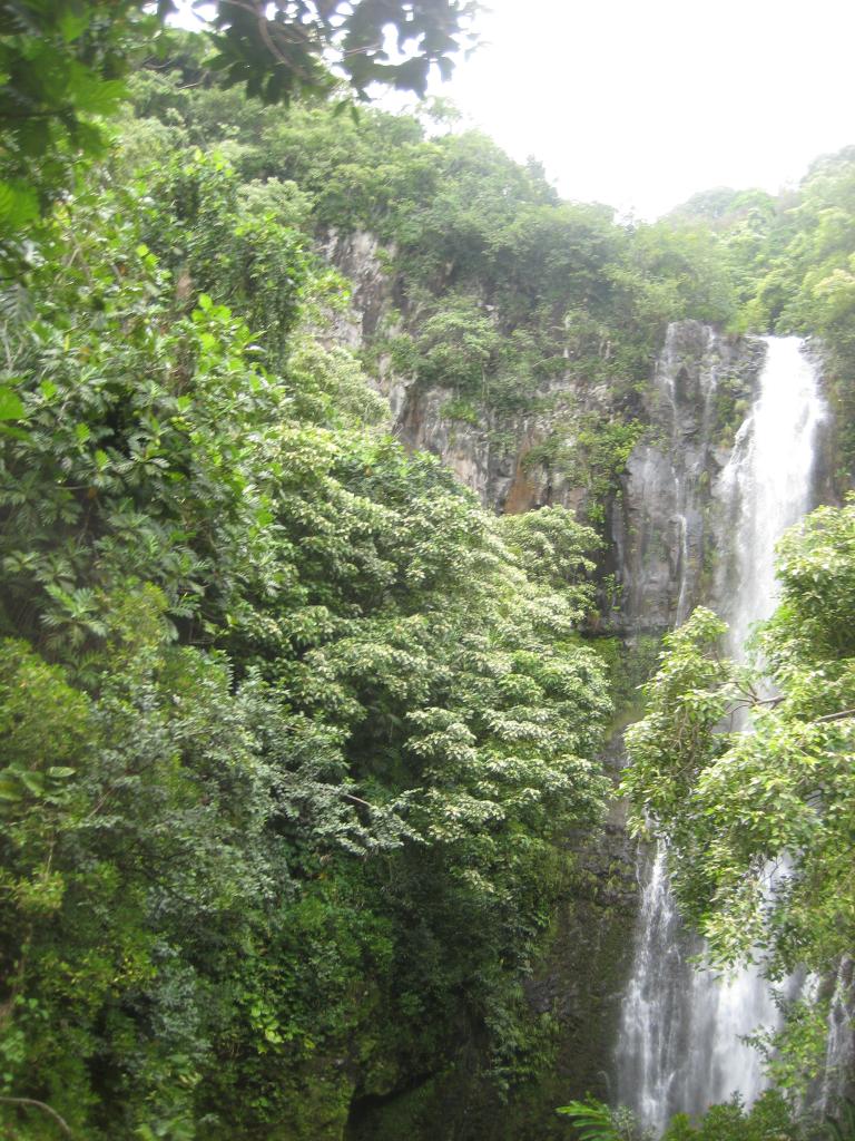 Hawaii 380.JPG