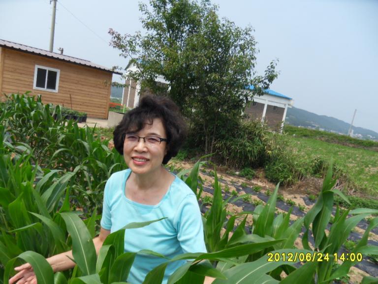 SDC13446.JPG