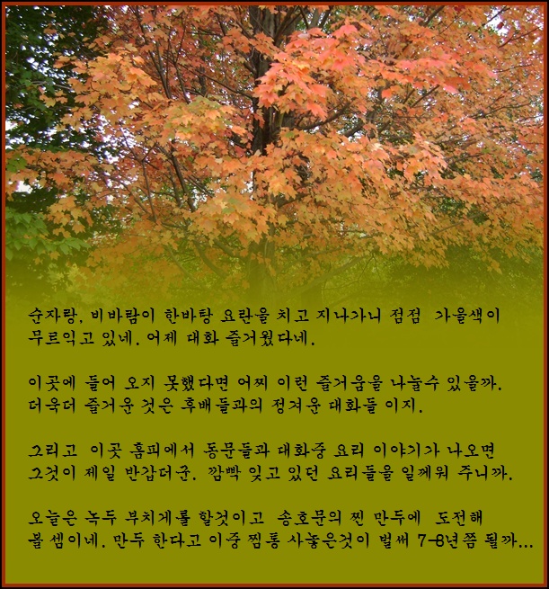 a-DSC02102.JPG