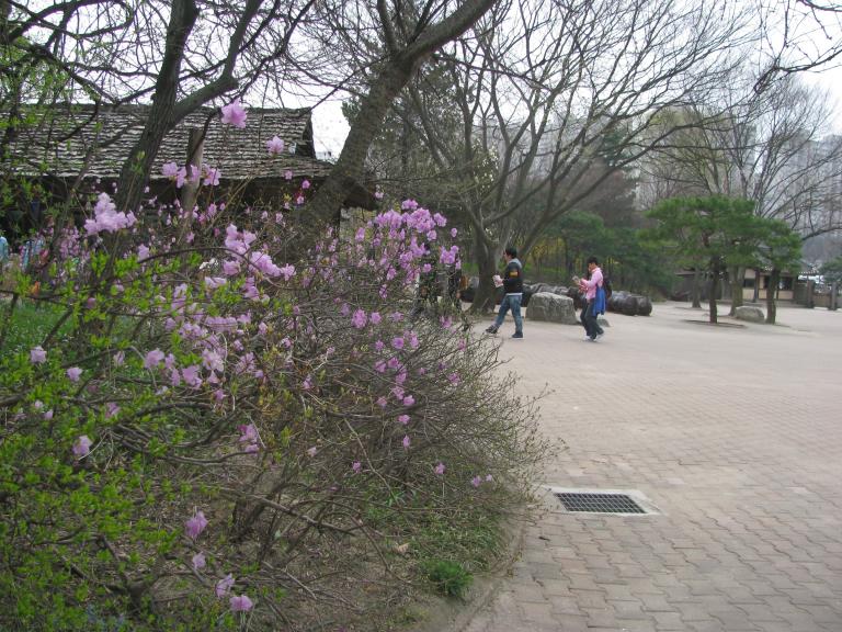 용인 민속촌 002.jpg