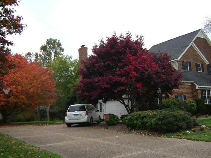 a-DSC05677.JPG