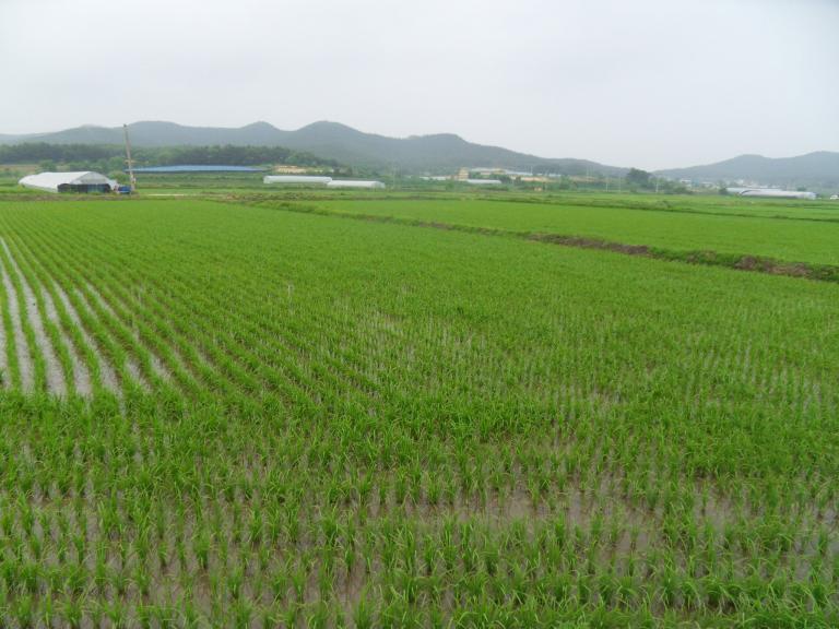 SDC11503.JPG