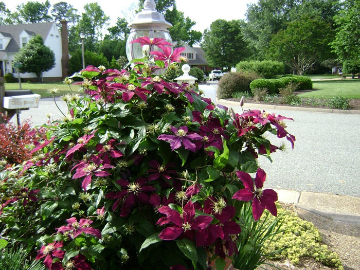 a-DSC04844.JPG