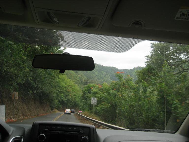 Hawaii 391.JPG