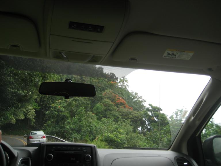 Hawaii 395.JPG