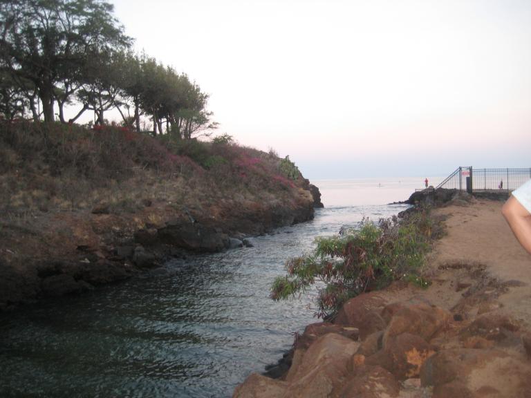 Hawaii 412.JPG