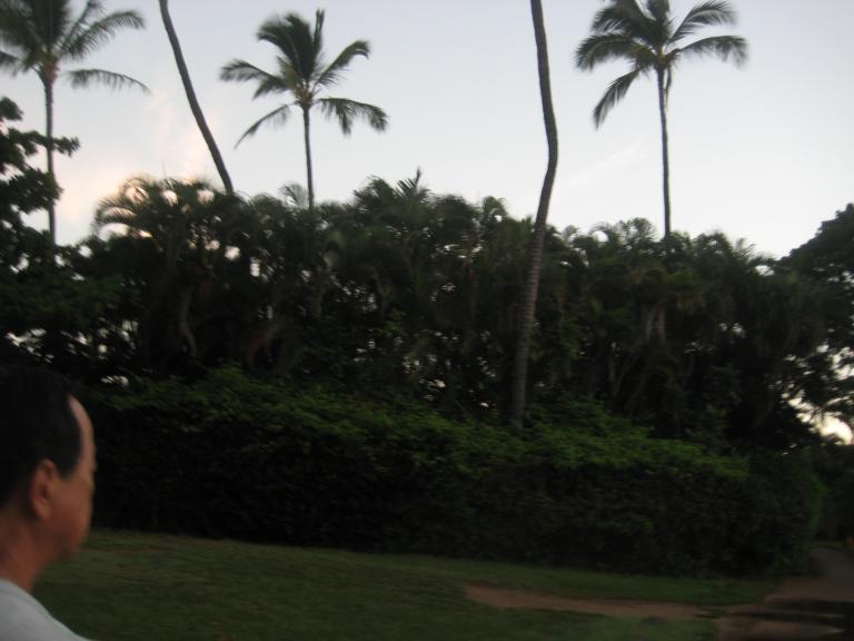 Hawaii 415.JPG